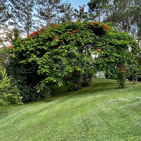 Gaestezimmer In Der Villa Zimmer Jarabacoa Buitenkant foto