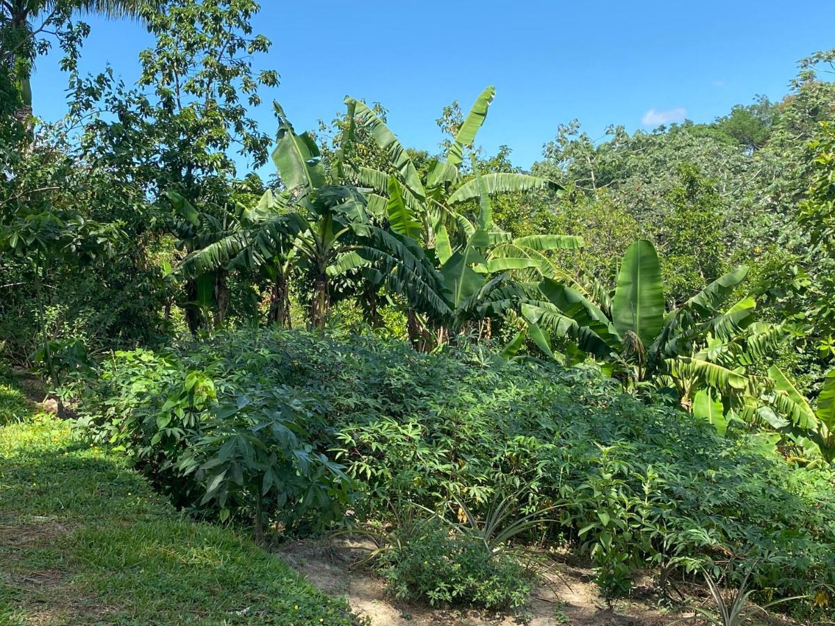 Gaestezimmer In Der Villa Zimmer Jarabacoa Buitenkant foto